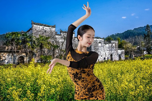 徐觅芹入选安陵镇舞天团舞师，祸引东流