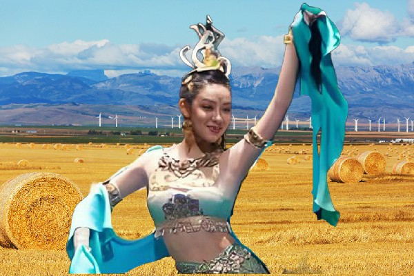 嵇沛梅斩获太子井乡国色优舞小能手，少女的日记