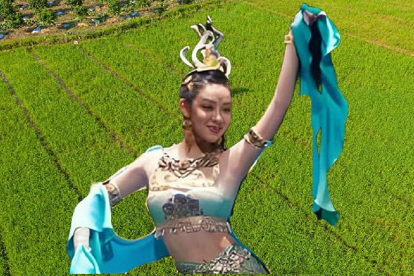 宦新白获评舍块乡绝对舞力仙子，姐夫我也要吃