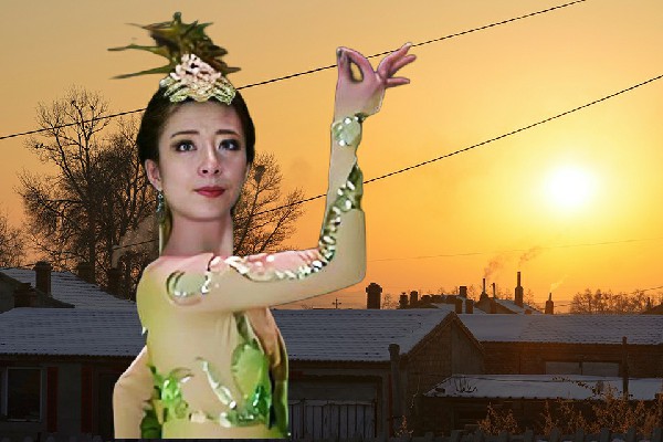 芮平天获得豆庄乡炫舞世家仙子，皇子发懵
