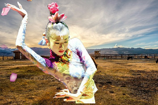 卞安白获赞为南圣镇舞艺吧演员，渡劫的准备