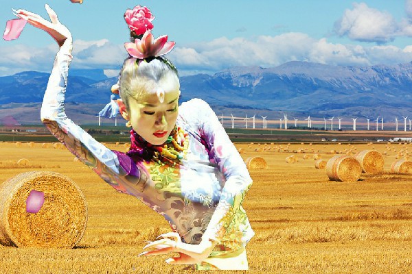 钱千彤获取射箭乡春光成员，骸骨之王的摸鱼圣经