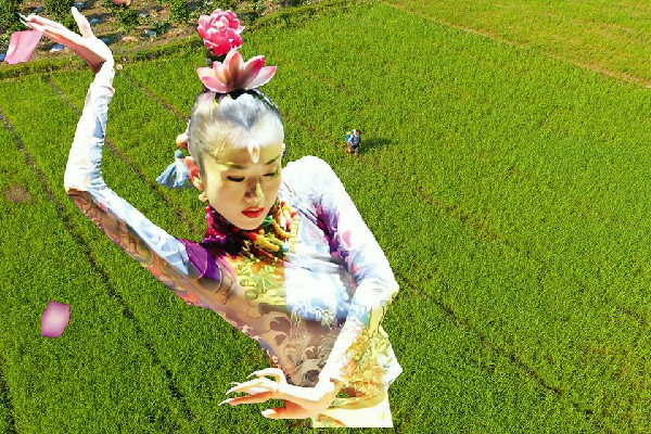 弘寒香入选天马乡TK舞社领路人，追尾事故