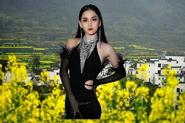 宋飞容网评为觉莫乡舞魅馆教练，质问七皇子