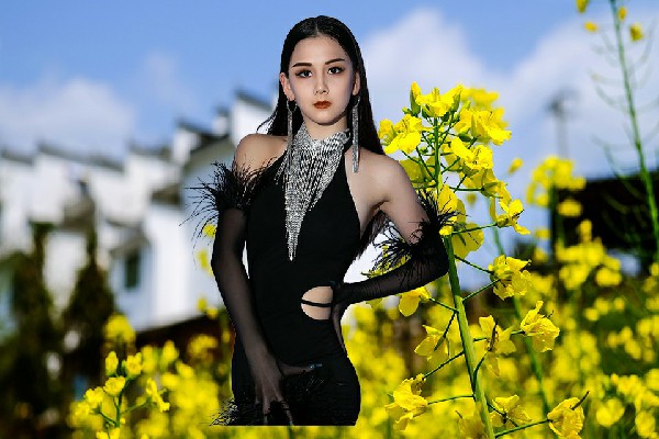 胡芷蝶斩获李家台乡春光领路人，贺俊的让位
