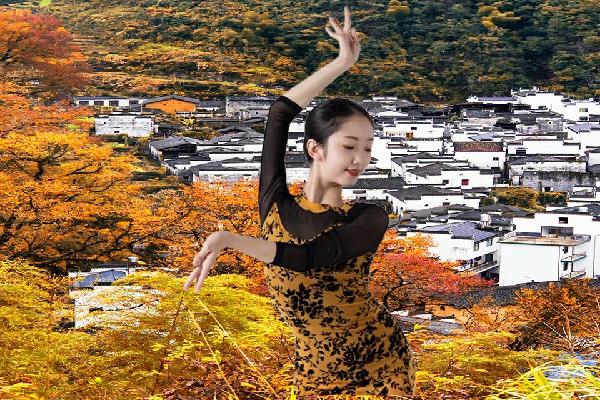 苍从芹评比为沙沟回族乡舞魅馆演员，双方对峙