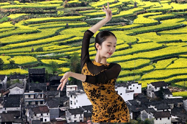 沙安海荣获胡总乡天艺舞姿领路人，苏家动荡