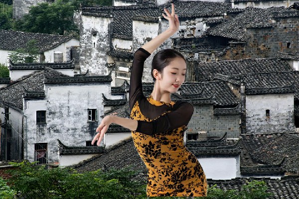 阳恨旋网评为邓湾乡绝对舞力达人，打狗棍法