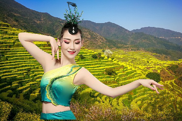 韶映露获评长垌乡舞艺吧达人，明断是非