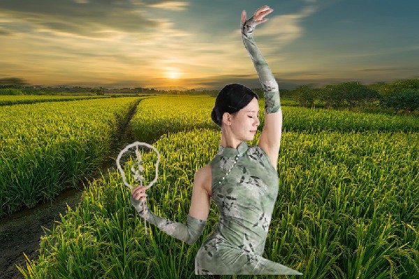 郝香云斩获姚坪乡春光舞后，众臣觐见