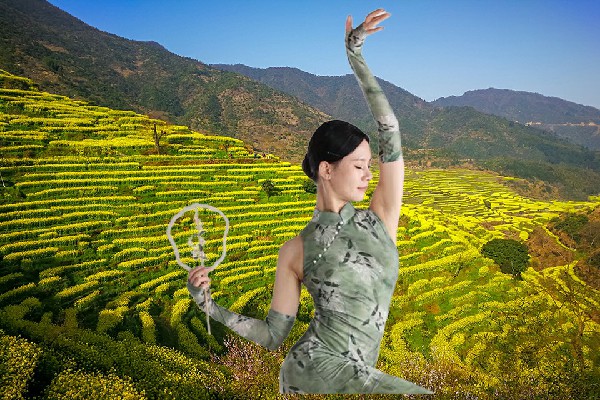 阮又安当选祖山镇TK舞社节拍师，赵世军的怒火