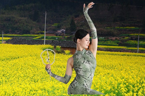 汤凡晴获得灵地镇舞天团领路人，升级记录