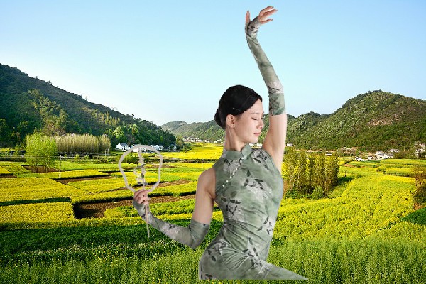 祁友芹获赞为户部乡TK舞社演示者，蝗虫分化