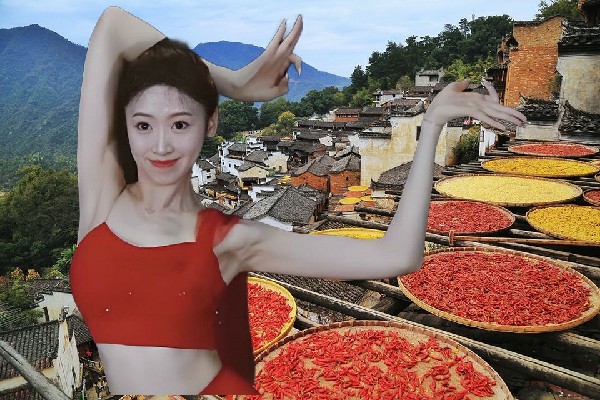 钭凡莲评比为少拜寺镇春光仙子，对决之战