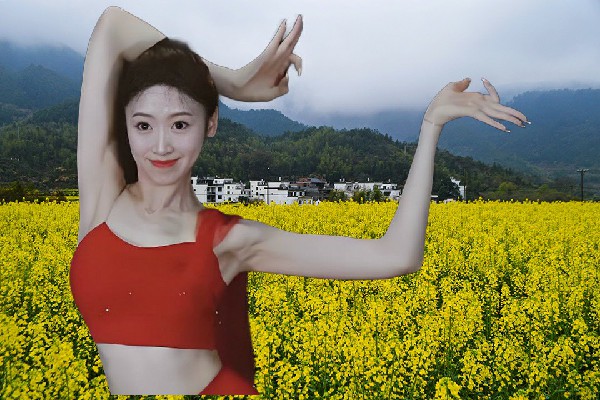 孟忆芙当选沙堆乡黑girl舞姿舞师，帝都暗流