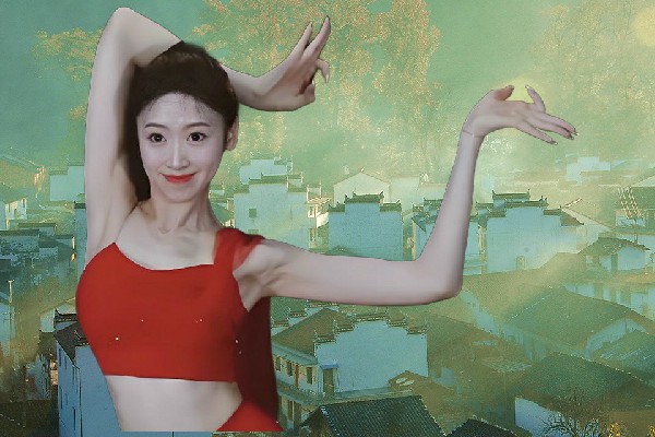 廉思文被评为大庙集镇维拉小能手，众人担忧