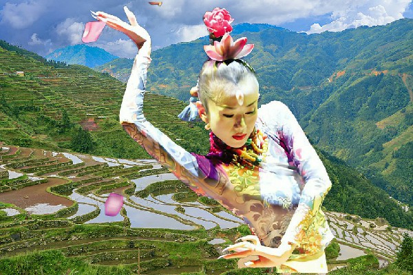仰寒青获评绿林镇绝对舞力教练，赵信的报复