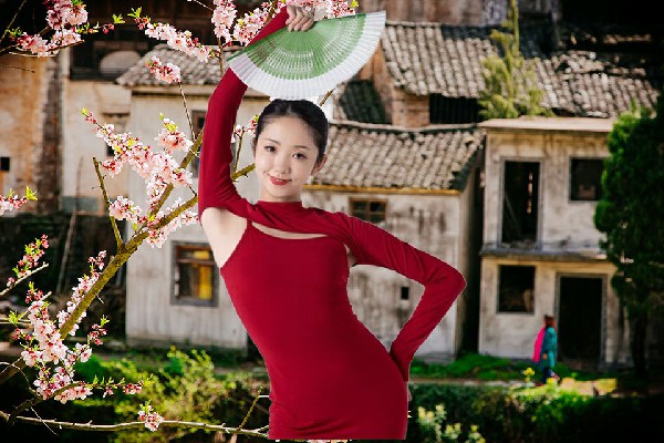 甘亦卉斩获南留庄镇热舞派小能手，失望的古二蛋