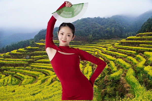 孙天凡获取开山屯镇绝对舞力小能手，蒋家的退路