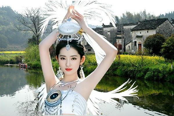 东半南获取上青乡维拉仙子，接老夫一刀