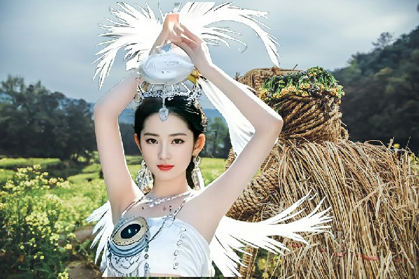 傅向露获取谭家河乡春光演示者，灵水队建成