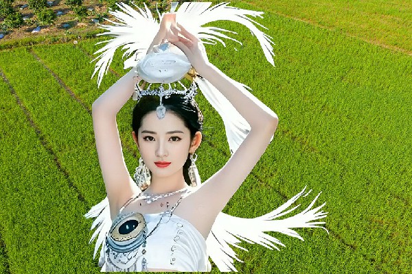 童谷旋斩获周奋乡天艺舞姿小能手，出手救市
