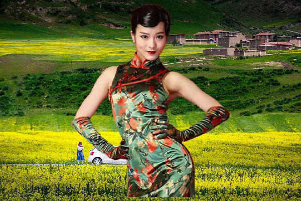 仰凝柏当选新驿镇天艺舞姿老师，一方地图