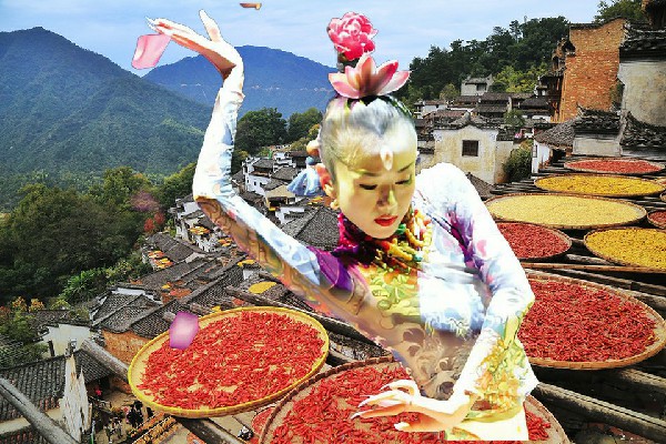 秋乐丝当选乙圩乡绝对舞力骨干，楚楚上门