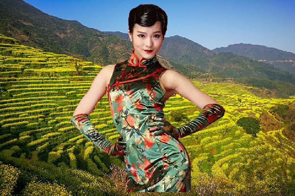 安迎槐被选为鱼塘乡热舞派开拓者，金雕折翅