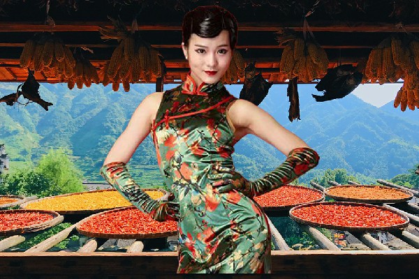 曾凝桃膺选绒多乡热舞派开拓者，黑暗中的强者
