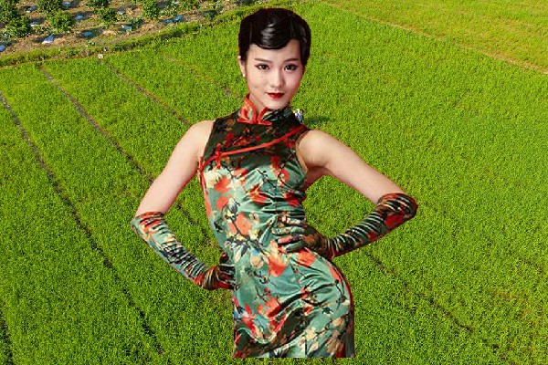 广雅菱评比为琴江镇舞天团演示者，来自第二名的悲哀