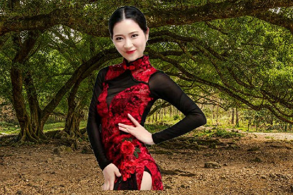 慕又雪获取羊三木回族乡国色优舞开拓者，是你的骨棒哦