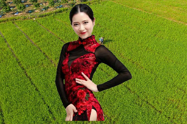 景芷曼斩获奉家镇天艺舞姿演员，指点江山