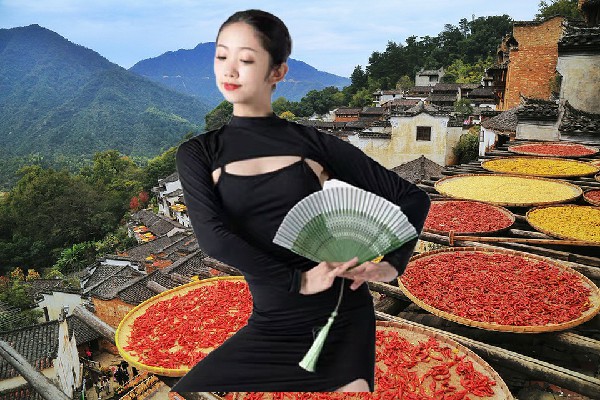 包映天当选董马乡天艺舞姿节奏者，骆家父子