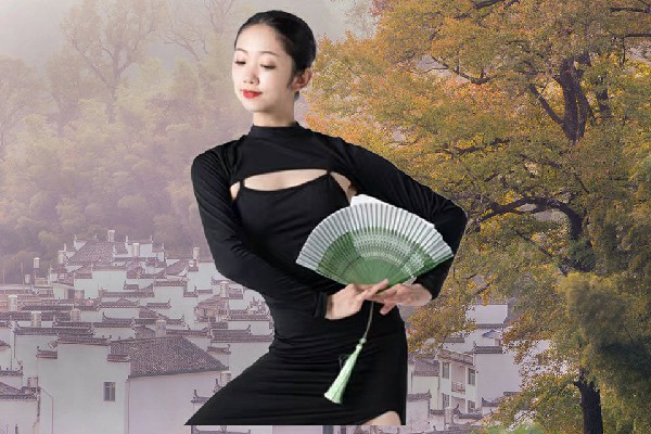 甄谷天评比为德昌乡绝对舞力节奏者，人皇战天帝