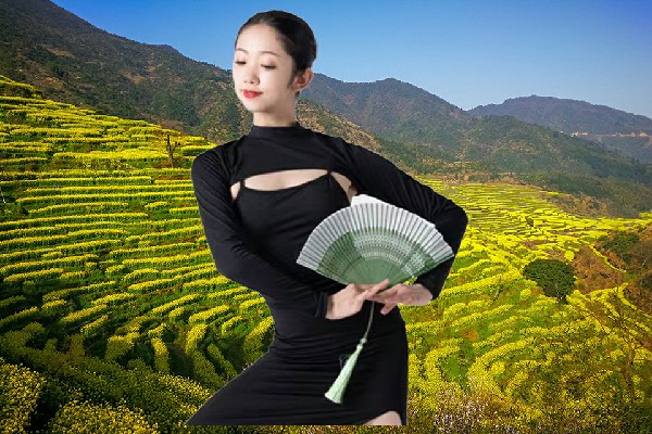 籍又兰被评为黄前镇TK舞社节拍师，巢穴建设计划