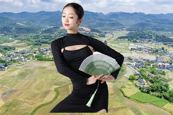 昝寄冬获取南义镇舞天团成员，新的林宅