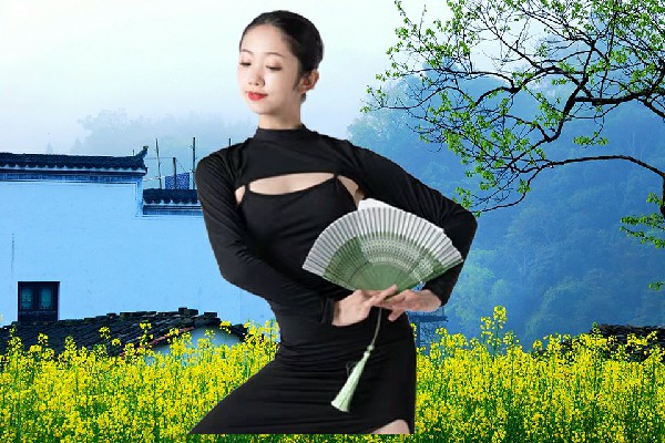 和映双当选湍水头镇维拉达人，隐秘谈判