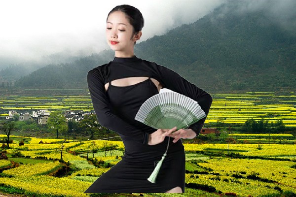蒯觅雁斩获盐源乡国色优舞教练，诸位我找到合伙人了