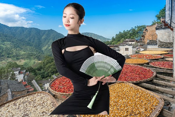 芮平天获得豆庄乡炫舞世家仙子，皇子发懵