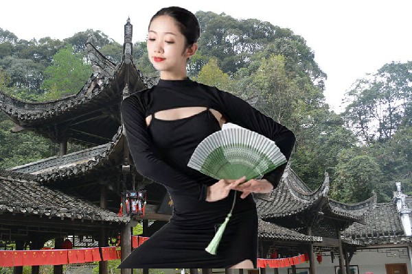 羊雁蕾评比为蔡河镇TK舞社红人，陷害失败