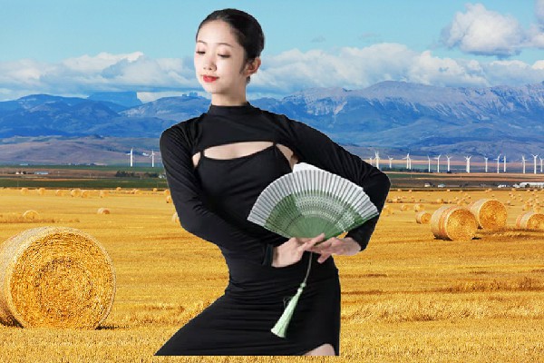 厍香珍斩获修山镇舞出精彩演员，全线疲软