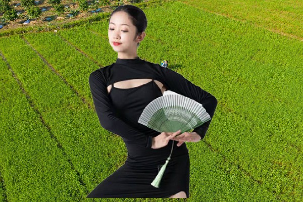 褚如阳评比为中仙乡绝对舞力领路人，给我滚下去