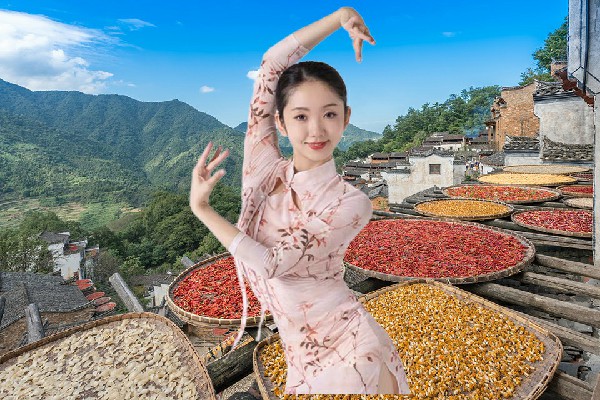 贾香珍网评为闫楼乡国色优舞演员，慕晚柔的病症