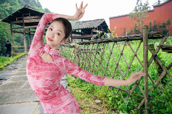 杭妙琴斩获赵全营镇舞天团开拓者，人心惶惶