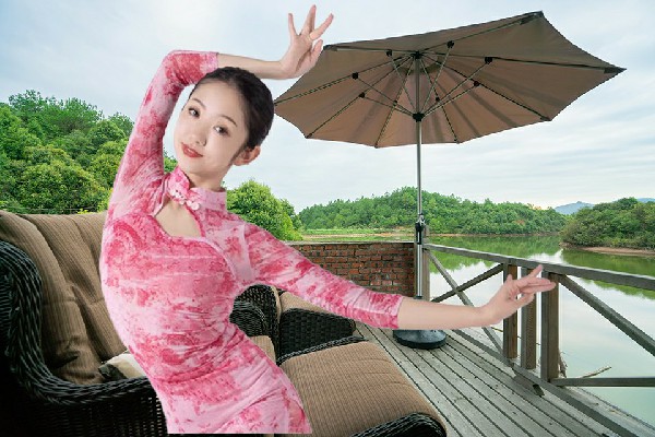 蒲诗儿评比为金家满族乡热舞派仙子，击毁敌机