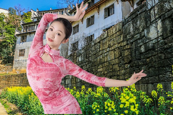 何迎桃入选南新乡舞艺吧老师，皇道圣印