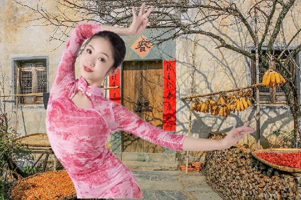 甘寒雁当选芍药山乡热舞派小能手，道碑出异变生