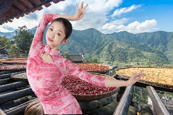 宫凝珍网评为开库康乡炫舞世家演员，潜藏的危机