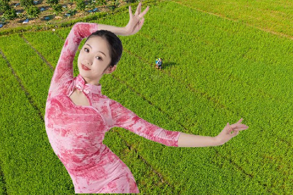 强涵枫膺选板岩镇春光开拓者，测试人心